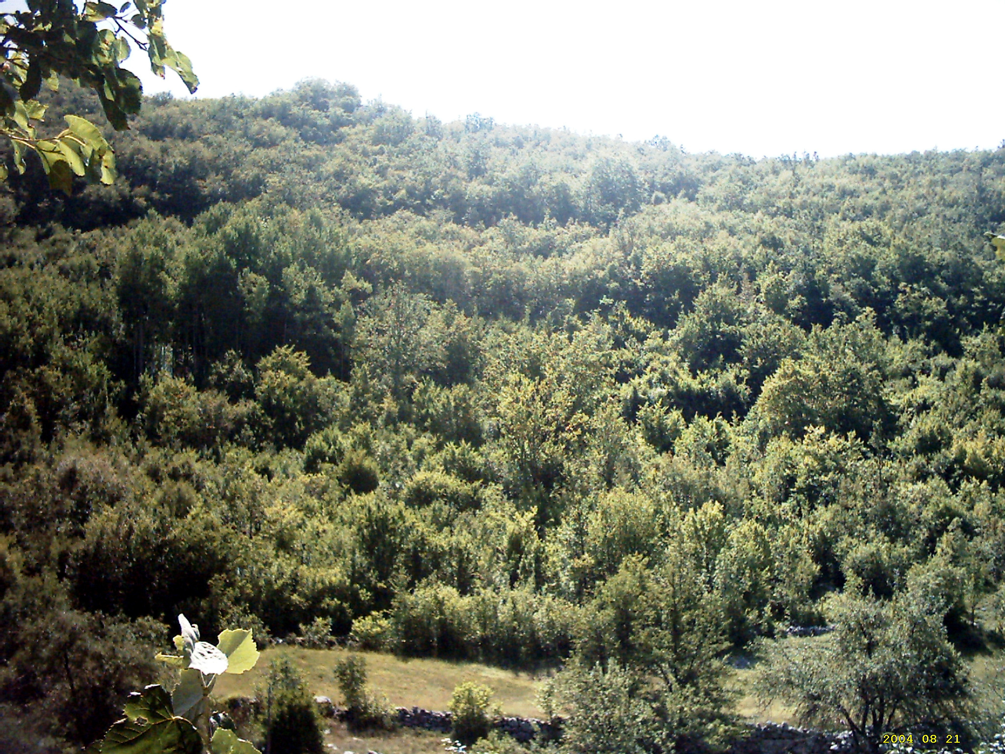 Pištensko Osoje 2011