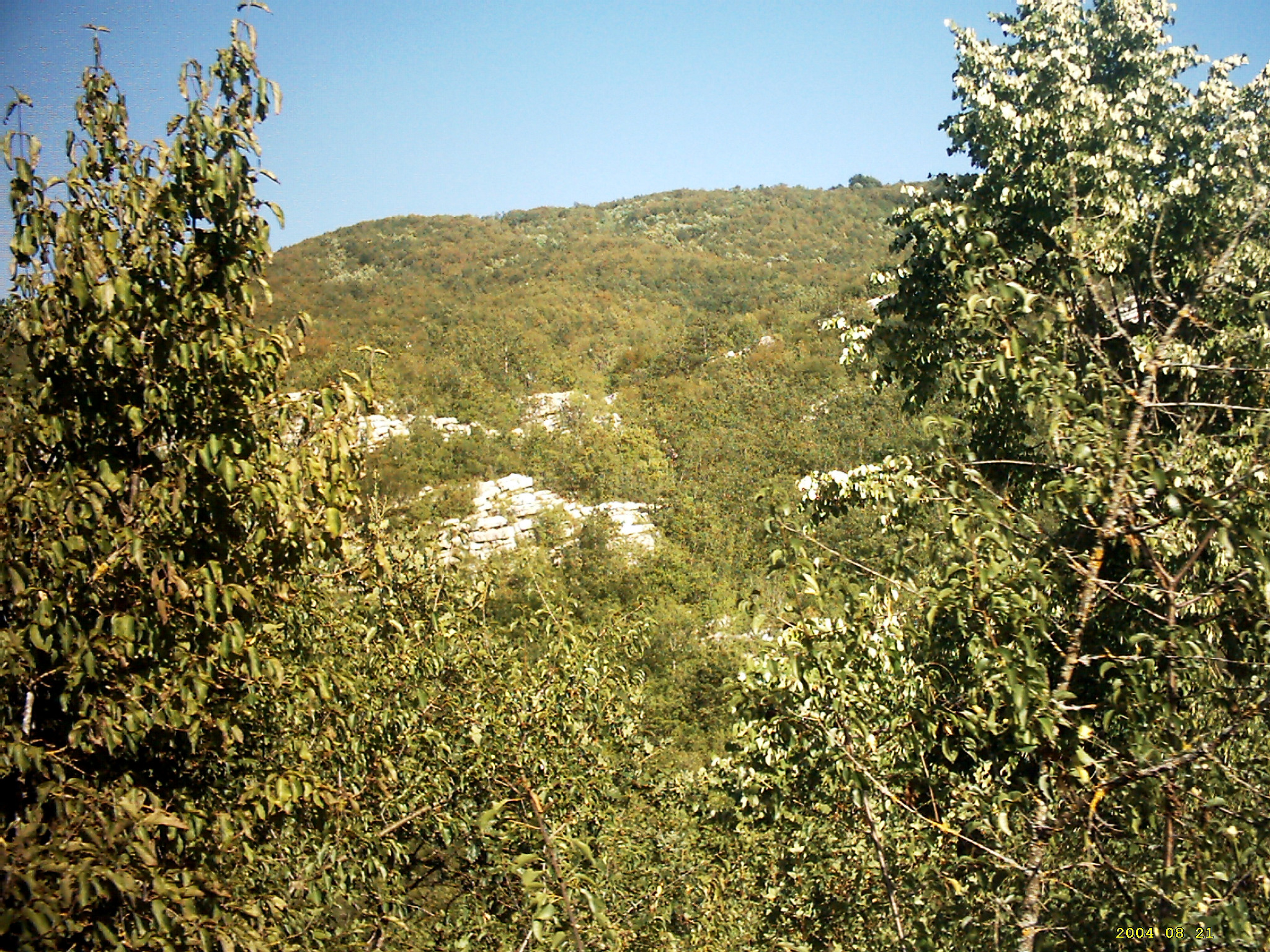 Pogled na Lisac 2011